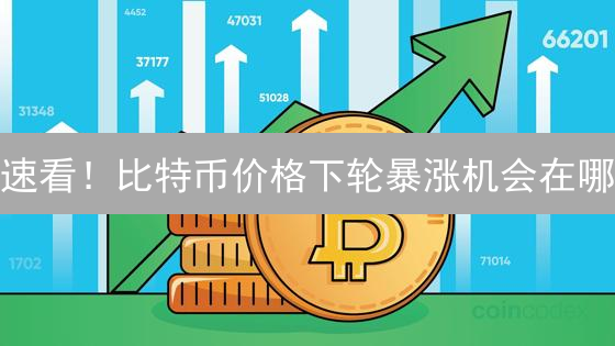 速看！比特币价格下轮暴涨机会在哪？三大因素揭秘！