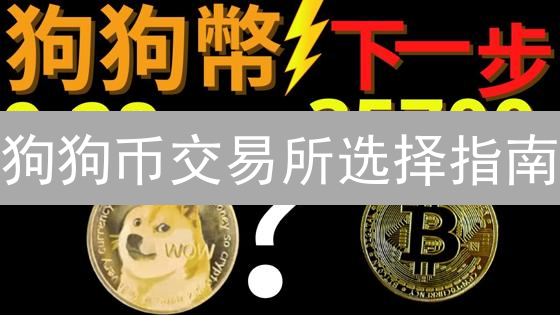 狗狗币交易所选择指南：新手避坑必备，让你的投资更安全！