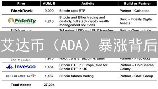 艾达币（ADA）暴涨背后：抓住未来财富密码？