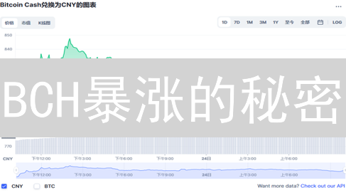 BCH暴涨的秘密？详解比特币现金底层原理与未来潜力！