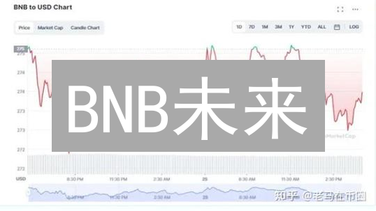 BNB未来：抓住币安生态机遇，解锁财富密码？
