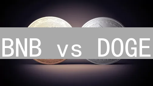 BNB vs DOGE：加密货币投资，你该选谁？【2024最新分析】