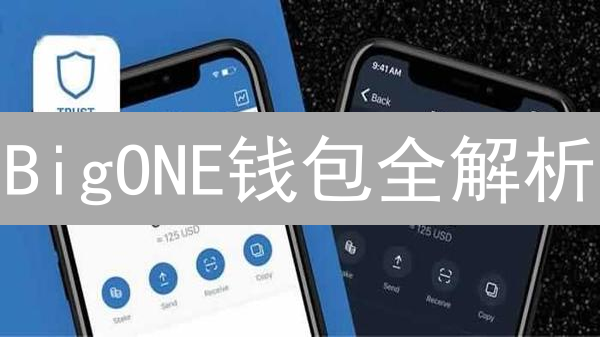 BigONE钱包全解析：哪款最适合你？选购指南！