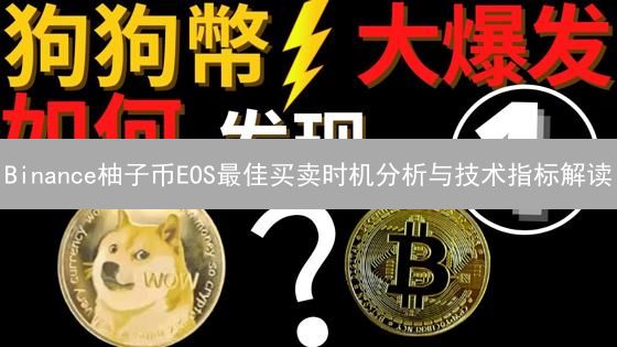 Binance柚子币EOS最佳买卖时机分析与技术指标解读