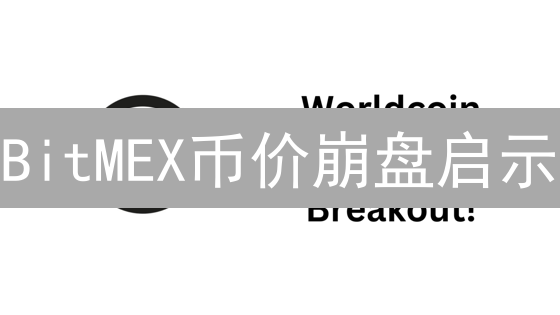 BitMEX币价崩盘启示：交易员的血泪教训！