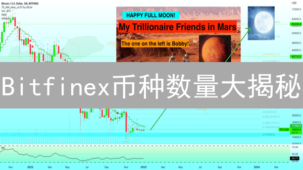 Bitfinex币种数量大揭秘：抓住交易机会！