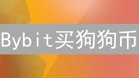 Bybit买狗狗币？警惕7大风险！小心血本无归！