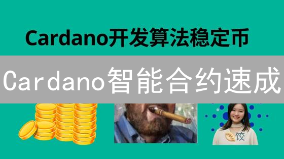 Cardano智能合约速成：30分钟解锁Plutus开发新姿势！