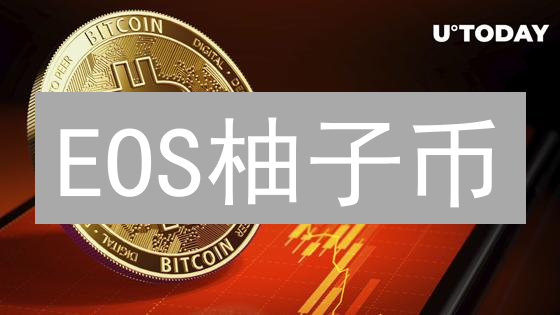 EOS柚子币：数字黄金还是泡沫？五大差异揭秘财富密码！