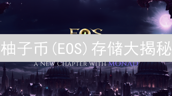 柚子币(EOS)存储大揭秘：哪种方案最安全？新手必看！
