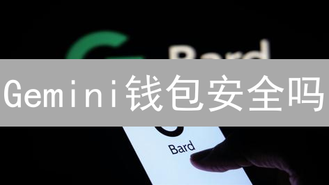 Gemini钱包安全吗？多维度深度剖析与风险评估！