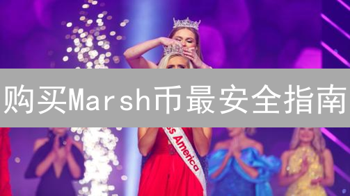 购买Marsh币最安全指南：交易所选择与安全措施