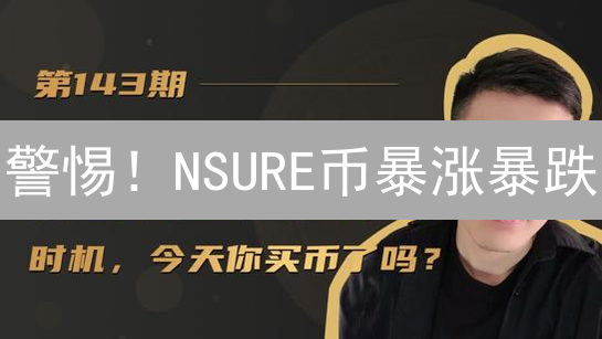 警惕！NSURE币暴涨暴跌？最佳买入时机大揭秘！