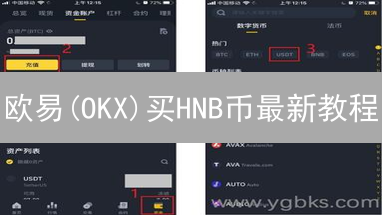 欧易(OKX)买HNB币最新教程：2024新手快速购买指南