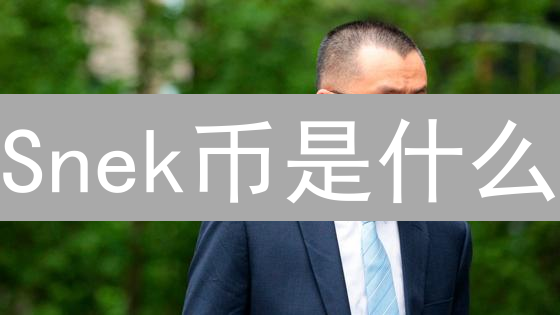 Snek币是什么？探索加密货币Snek的奥秘