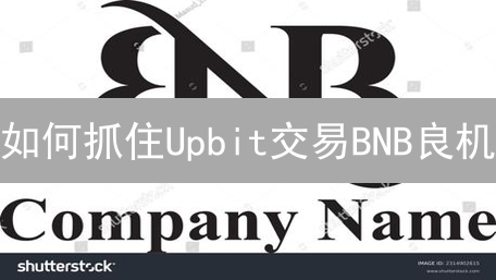 如何抓住Upbit交易BNB良机？盈利策略深度剖析！