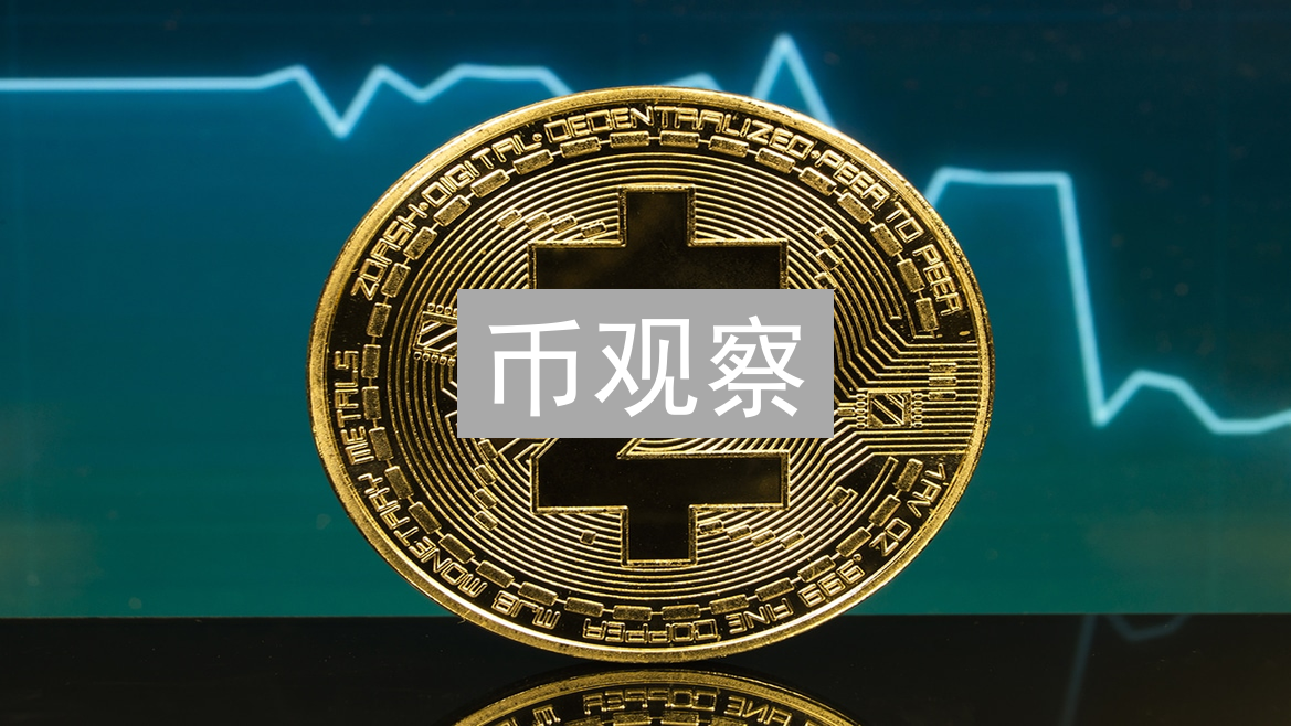 关于币观察